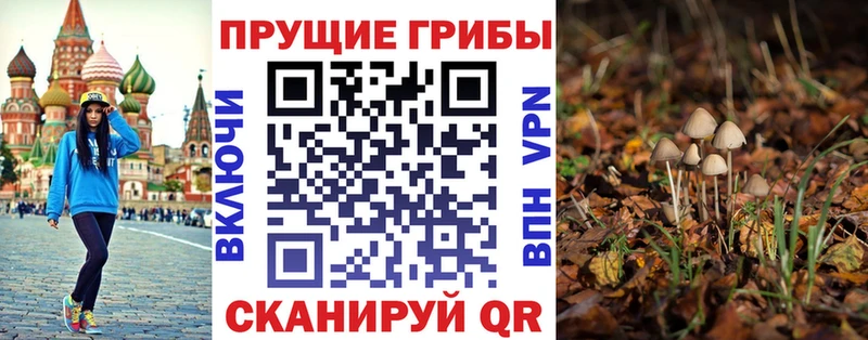 kraken онион  что такое наркотик  Нолинск  Псилоцибиновые грибы GOLDEN TEACHER 